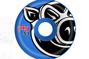 Pig 53